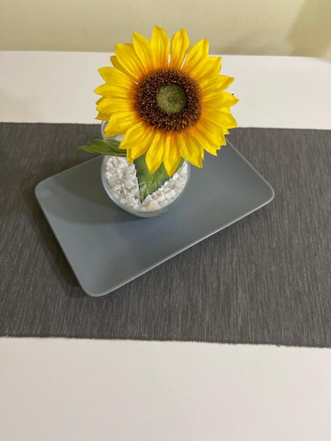 Апартамент Sunflower021 Нови Сад